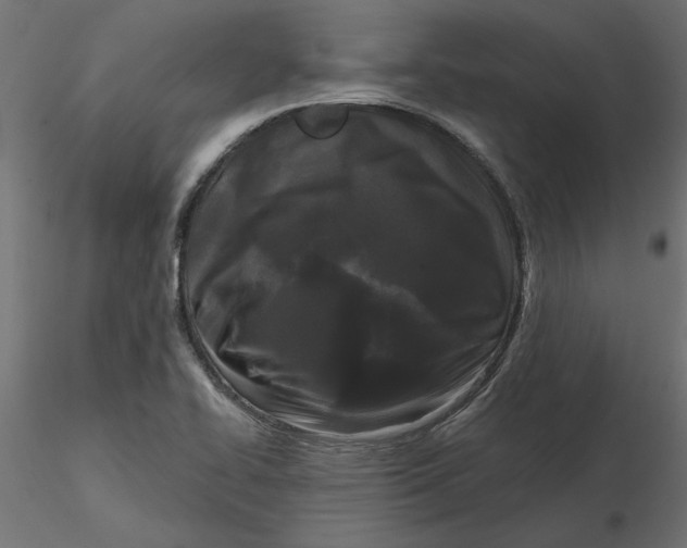 X0000116571414200912311944