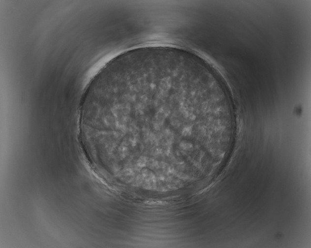 X0000116571415200912311944