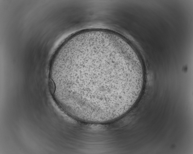 X0000116571416200912311944