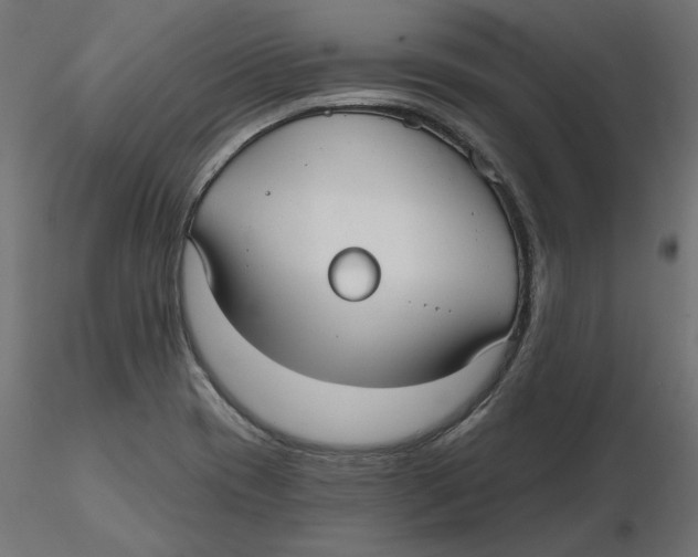 X0000116571417200912311944