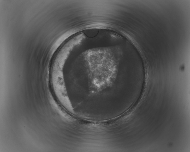 X0000116571418200912311944