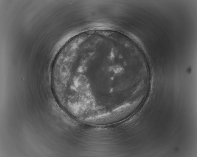 X0000116571419200912311944