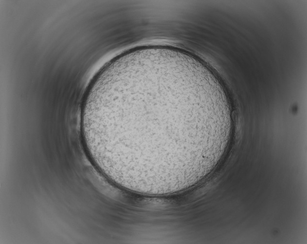 X0000116571420200912311944