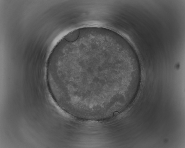 X0000116571424200912311944