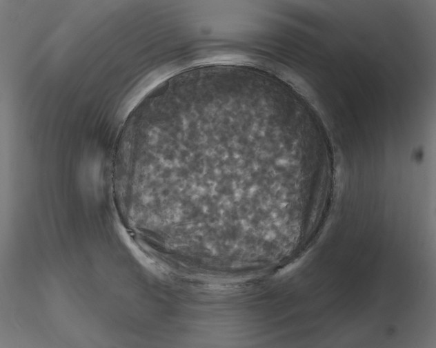 X0000116571425200912311944