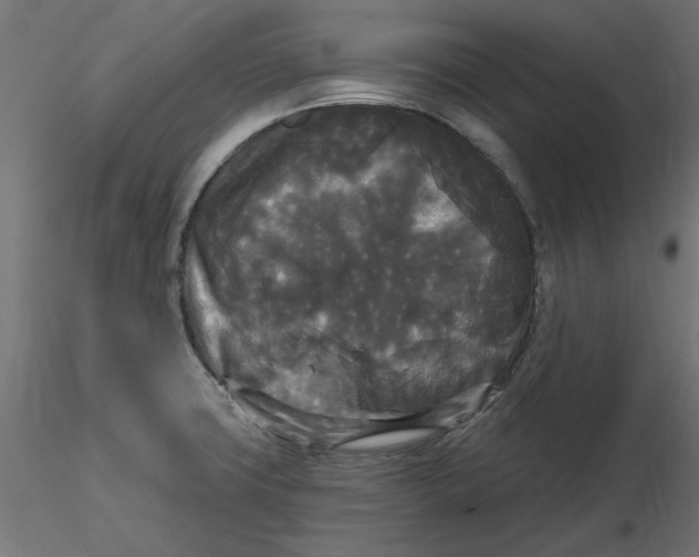 X0000116571427200912311944