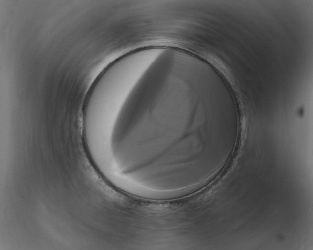 X0000116571428200912311944