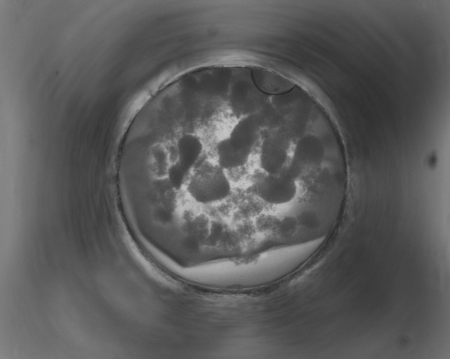 X0000116571429200912311944