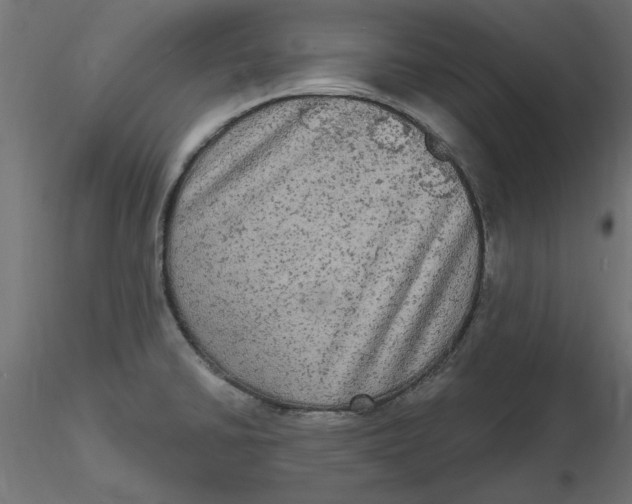 X0000116571430200912311944