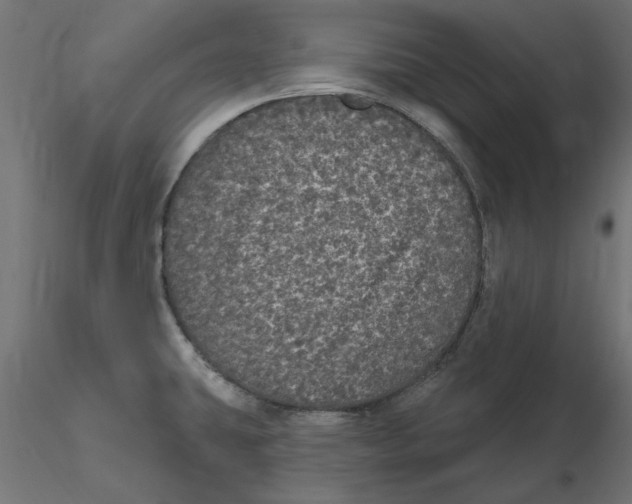 X0000116571431200912311944