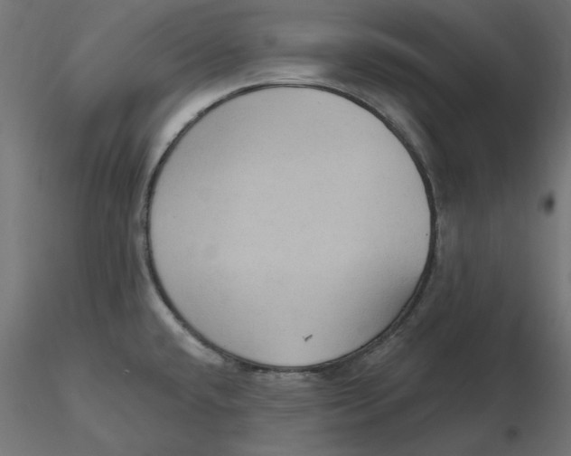 X0000116571432200912311944