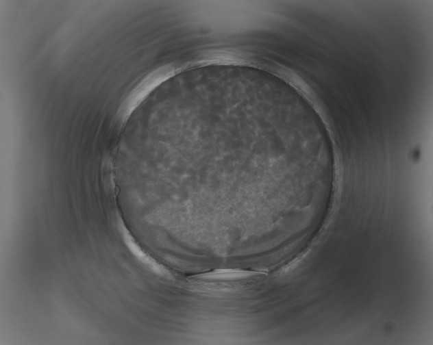 X0000116571433200912311944