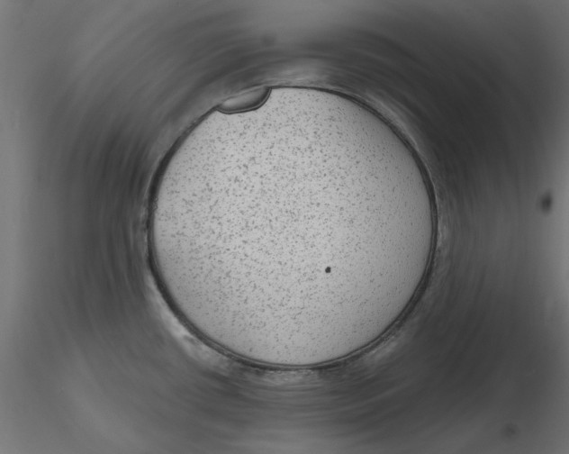 X0000116571434200912311944