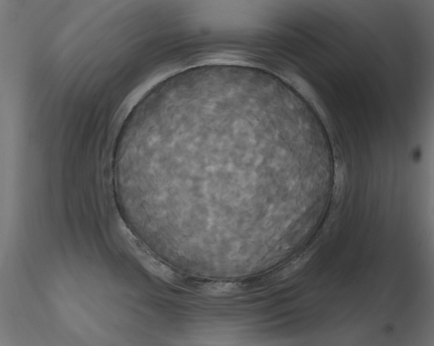 X0000116571435200912311944