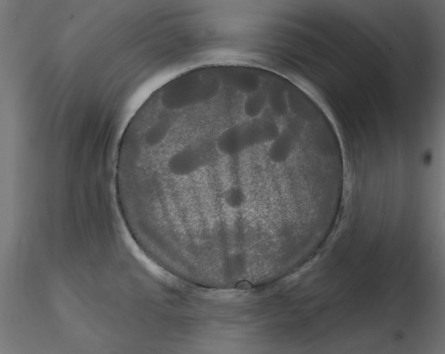 X0000116571437200912311944