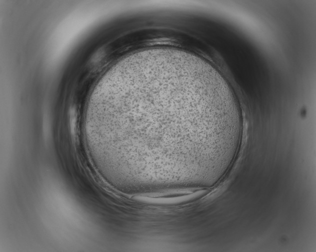 X0000116571438200912311944