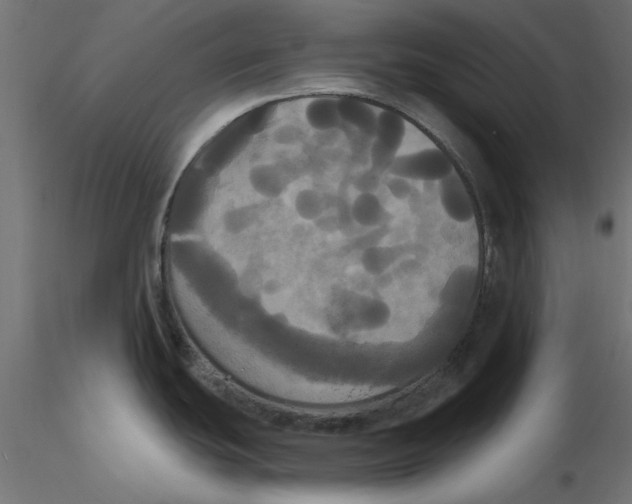 X0000116571439200912311944