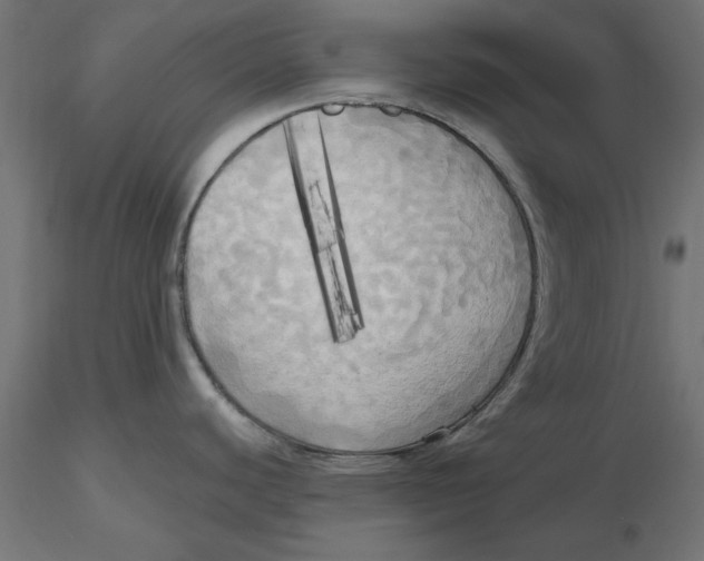 X0000116571440200912311944