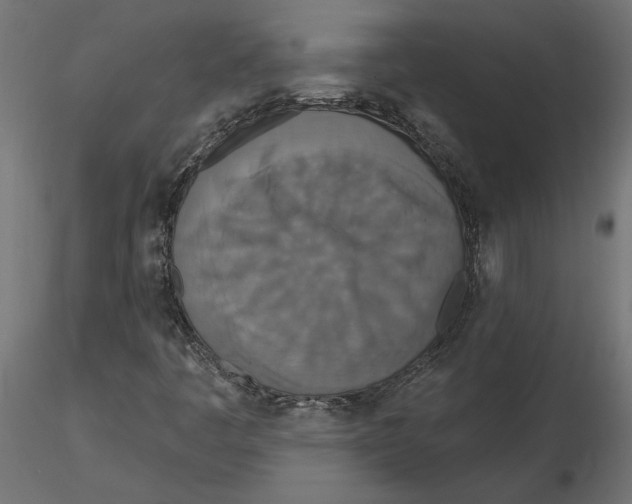 X0000116571445200912311943