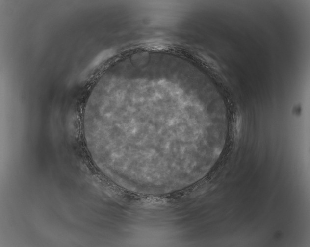 X0000116571446200912311943