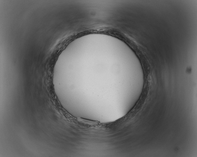 X0000116571447200912311943