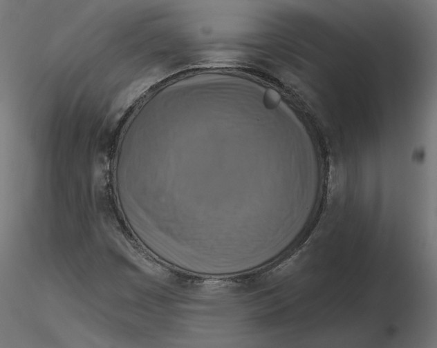 X0000116571449200912311943