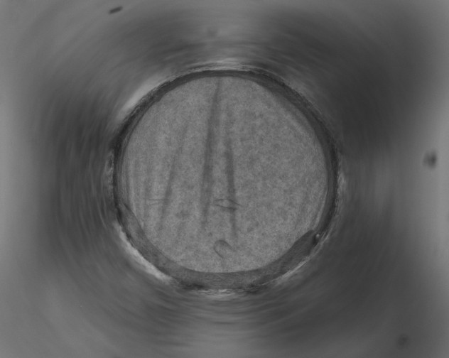 X0000116571450200912311943