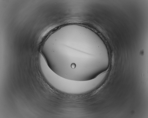 X0000116571453200912311943