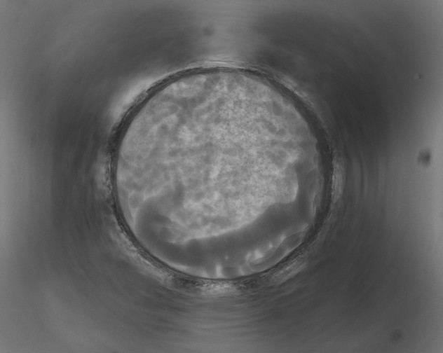 X0000116571454200912311943