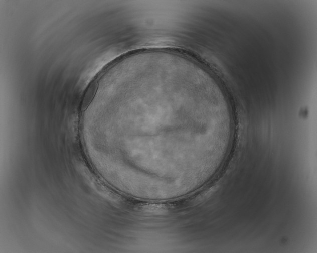 X0000116571457200912311943