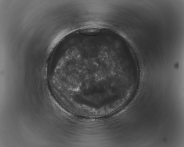 X0000116571459200912311943