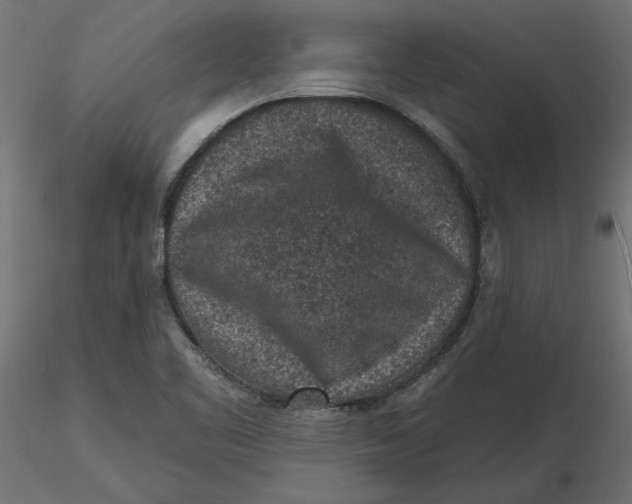 X0000116571461200912311943