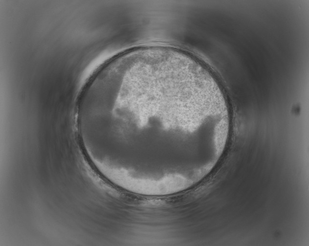 X0000116571462200912311943