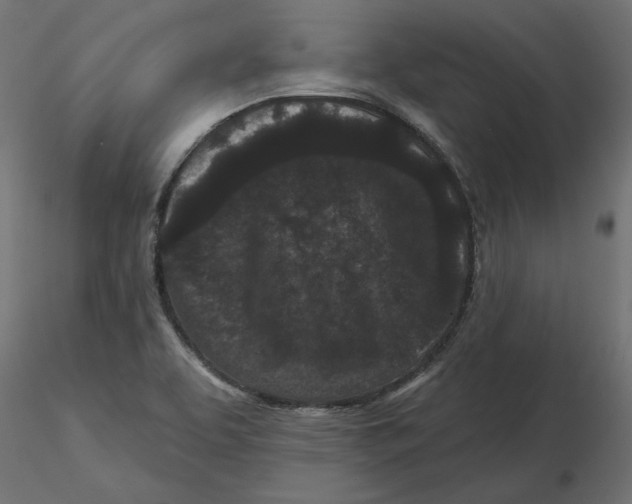 X0000116571463200912311943