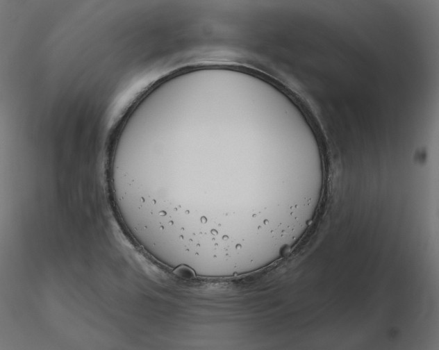 X0000116571464200912311943