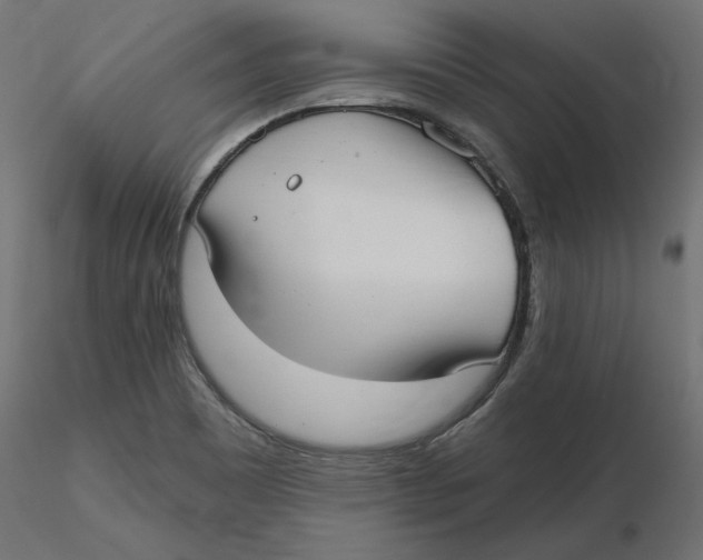 X0000116571465200912311943