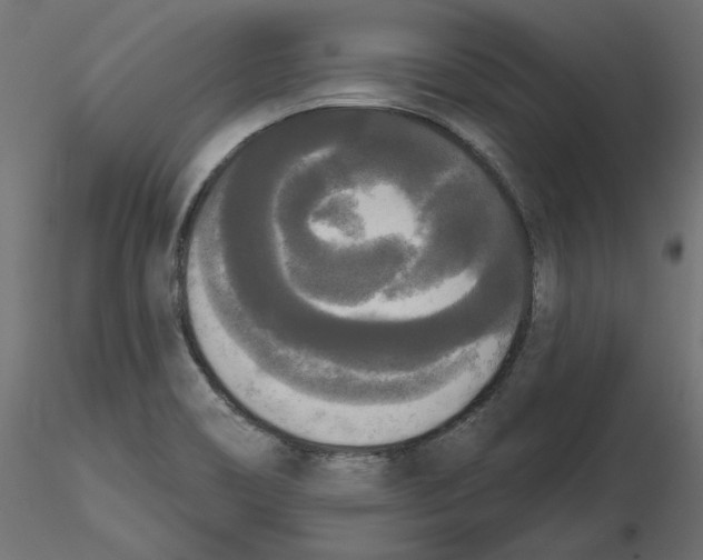 X0000116571466200912311943