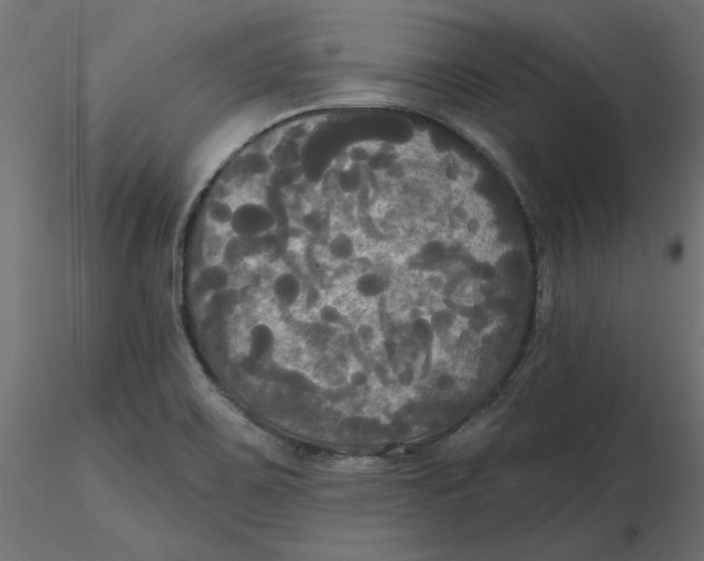 X0000116571467200912311943