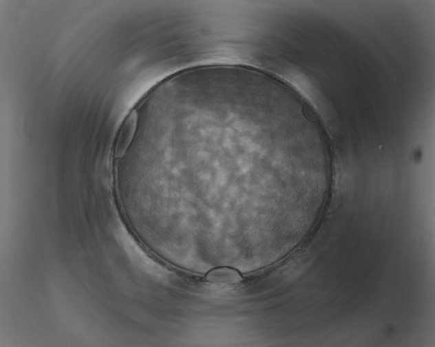 X0000116571468200912311943