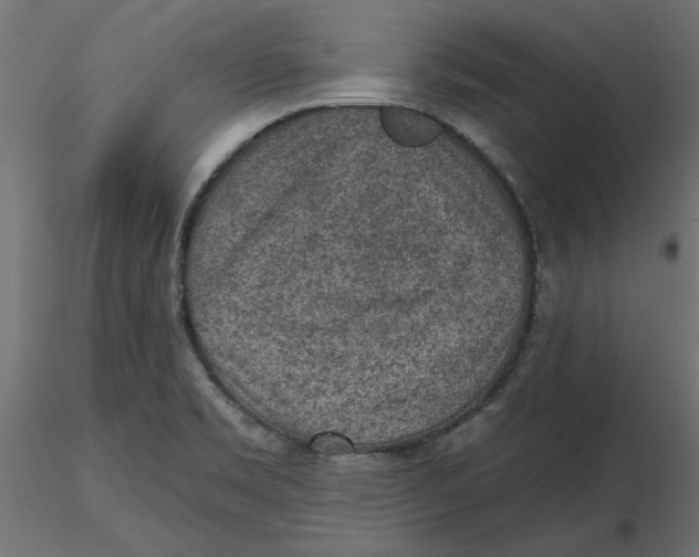 X0000116571469200912311943