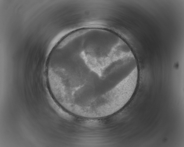 X0000116571470200912311943