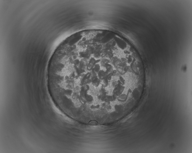 X0000116571471200912311943