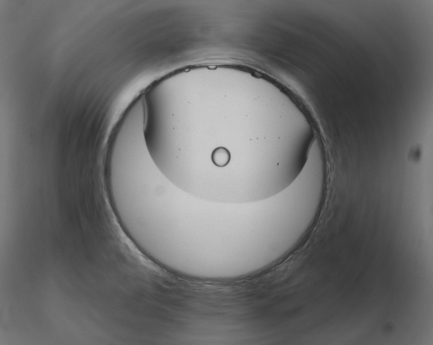 X0000116571472200912311943