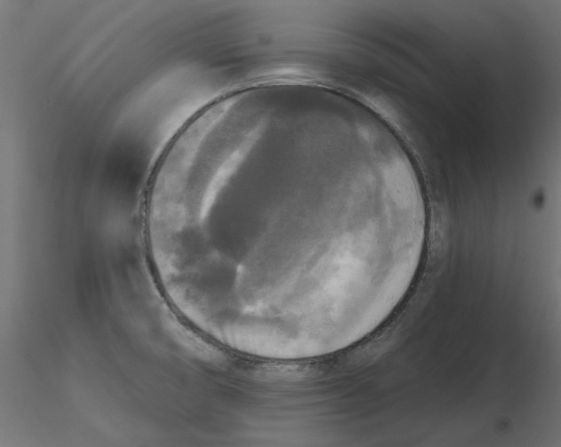 X0000116571474200912311943