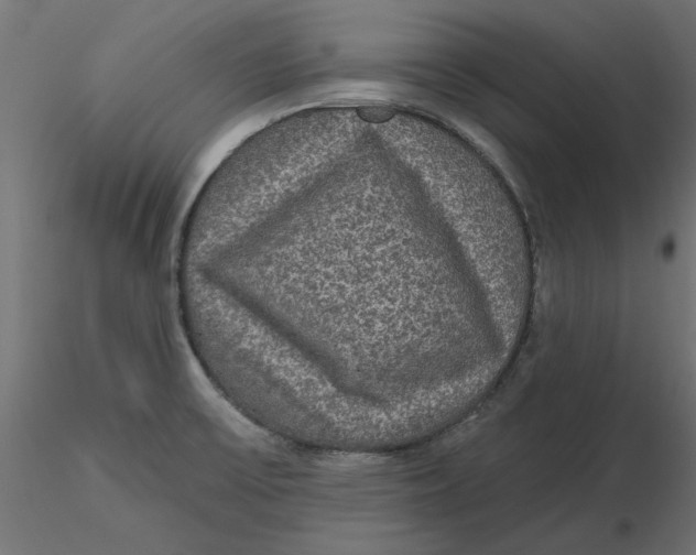 X0000116571475200912311943