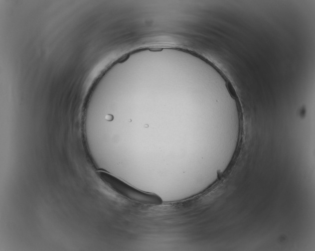 X0000116571477200912311943