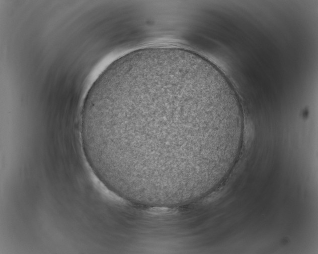 X0000116571478200912311943