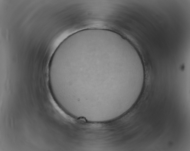 X0000116571479200912311943