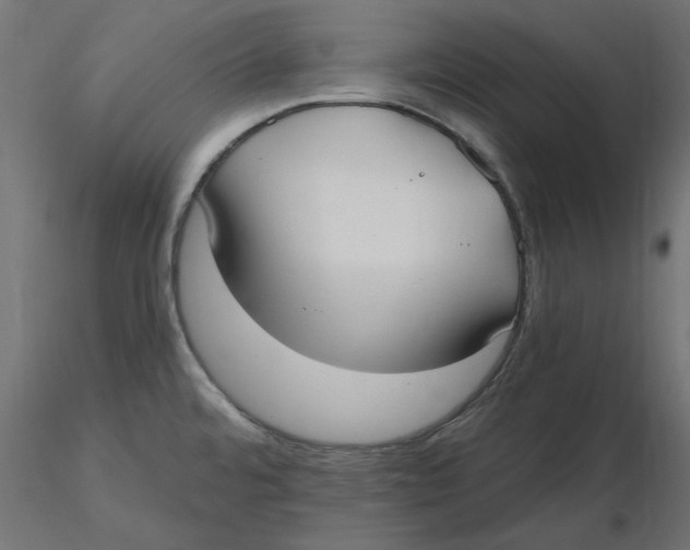 X0000116571480200912311943