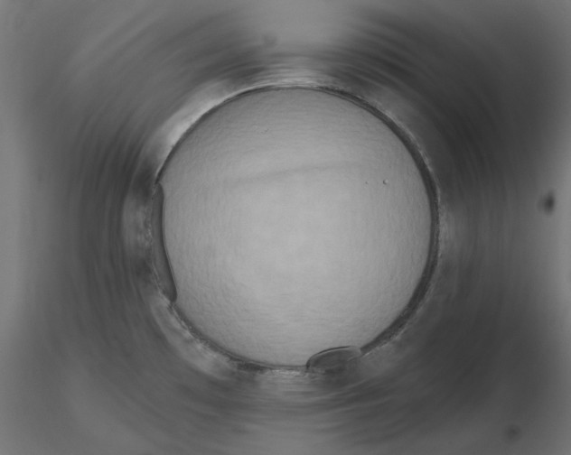 X0000116571481200912311943